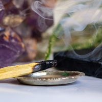 Potion Slinger Palo Santo Stick